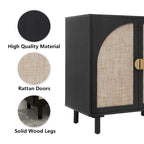 Mobiletto contenitore in rattan con ante, credenza a buffet - 75Lx40Wx80A cm